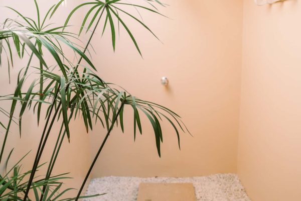 Hidden Wave Queen washroom